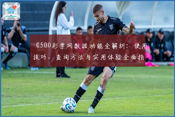 《500彩票网数据功能全解析：使用技巧、查询方法与实用体验全面指南》