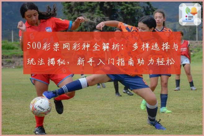 500彩票网彩种全解析：多样选择与玩法揭秘，新手入门指南助力轻松上手