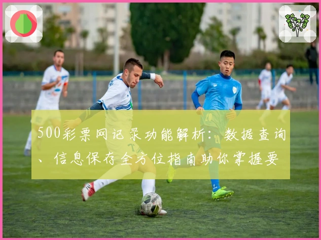 500彩票网记录功能解析：数据查询、信息保存全方位指南助你掌握要点