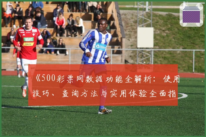 《500彩票网数据功能全解析：使用技巧、查询方法与实用体验全面指南》